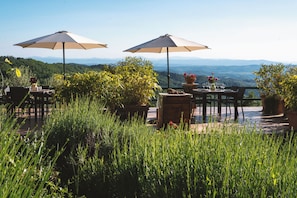 Edera | Terrace/patio - Podere L'Aquila (Toscana)