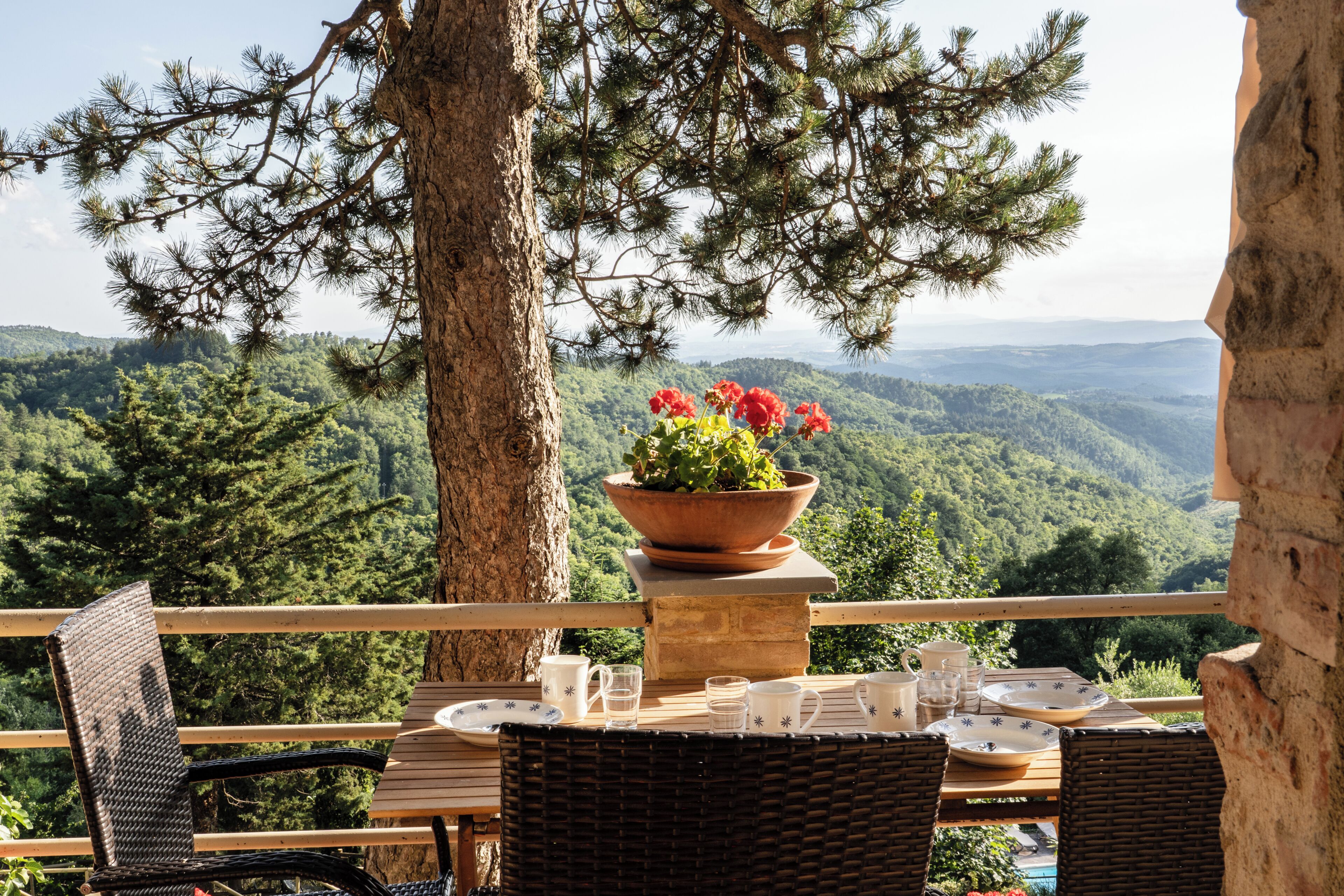 Pino | Terrace/patio
