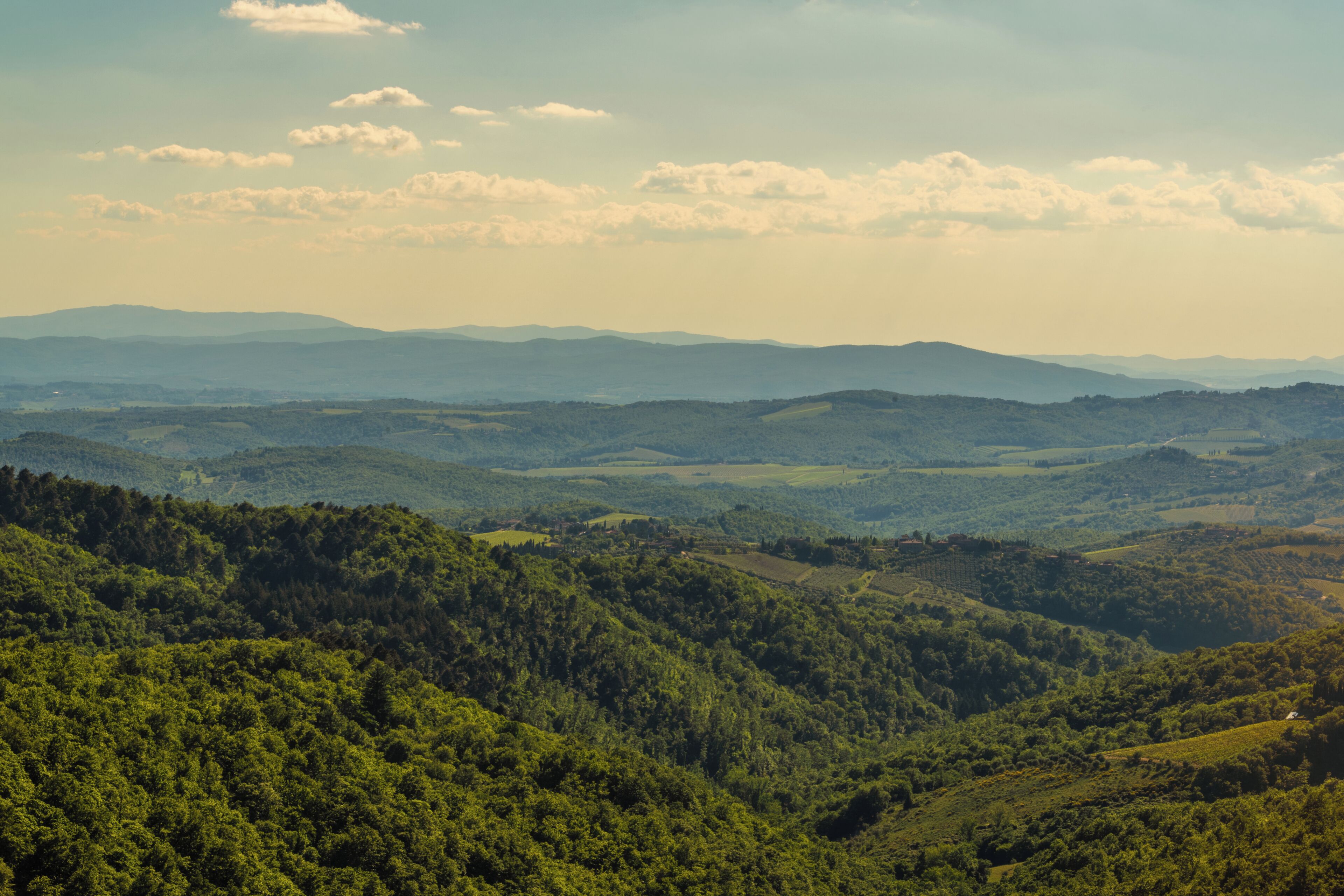 A panoramic view of a mountainous landscape with dense forests and rolling hills.