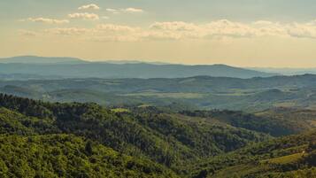 A panoramic view of a mountainous landscape with dense forests and rolling hills.