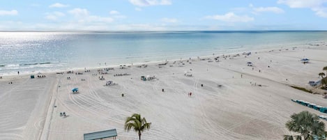 Ein Strand mit einer weiten Sandfläche, einigen Palmen und einem klaren Himmel.