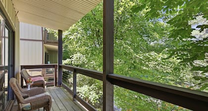 Pet Friendly Beech Condo w Fireplace+Walk to Lift!