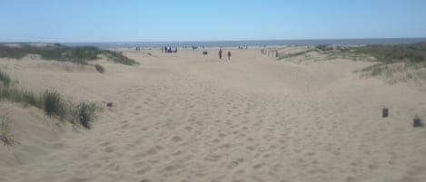 Ranta