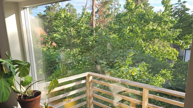 A balcony with a view of trees, a potted plant, and a small table.