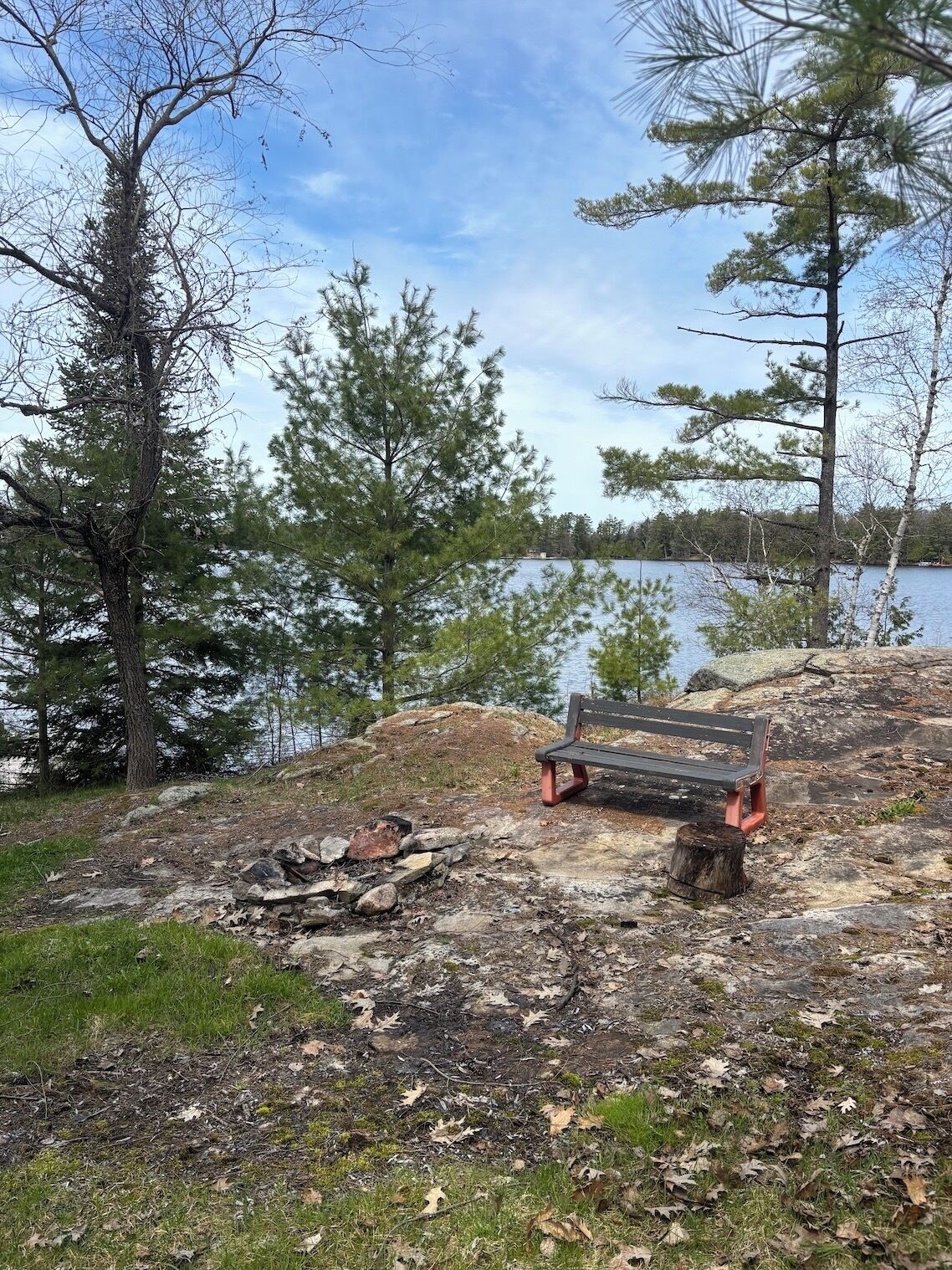 Una panchina vicino a un lago, con alberi e una catasta di legna.