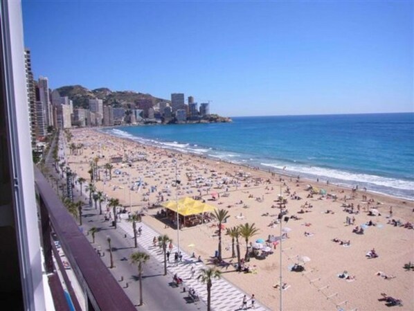 A beach with a row of buildings along the shore, palm trees, and a clear blue sky. - Miramar Playa 6-2 in Benidorm (Benidorm)