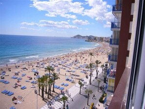A beach with sun loungers and palm trees, a clear sky, and a building with balconies. - Miramar Playa 6-2 in Benidorm (Benidorm)