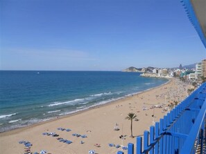 A beach with umbrellas and sun loungers, a clear sky, and buildings in the background. - Palmeras 9D in Benidorm (Benidorm)