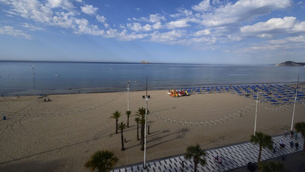 A beach with a clear sky, palm trees, and a row of blue beach chairs. - Cachirulo 4A in Benidorm (Benidorm)