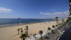 A beach with palm trees, a promenade, and a clear sky. - Cachirulo 3B in Benidorm (Benidorm)