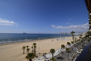 Ein Strand mit Palmen, einer Uferpromenade und blauem Himmel.