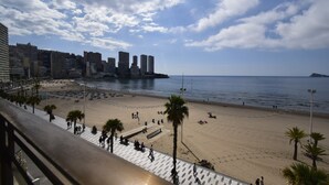 A beach with a cityscape in the background, palm trees, and a clear sky. - Cachirulo 3B in Benidorm (Benidorm)