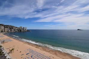 A beach with a row of blue beach chairs and umbrellas, a sandy shore, and a cityscape in the background. - LOS Gemelos 15E in Benidorm (Benidorm)
