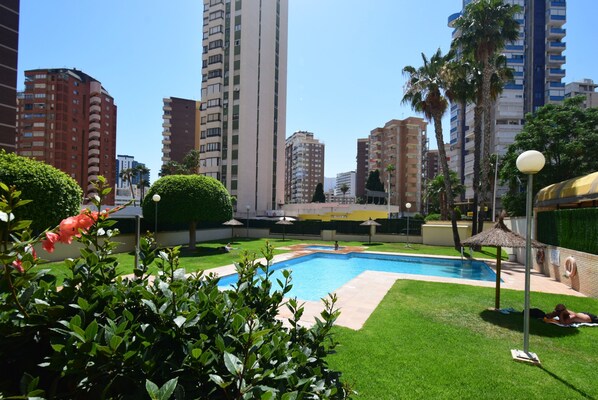 A swimming pool surrounded by well-maintained grass, palm trees, and high-rise buildings in the background. - Torre Ipanema 9D in Benidorm (Benidorm)
