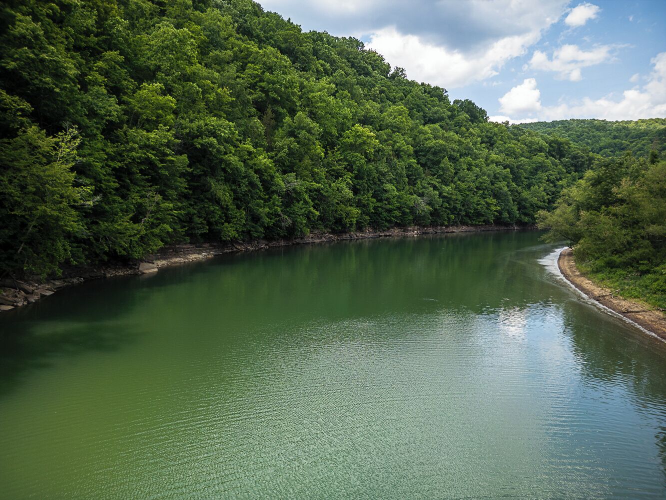 Ein Fluss, umgeben von dichtem Wald.