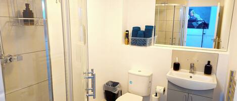 Un baño con cabina de ducha de vidrio, inodoro, lavamanos y espejo que refleja la zona de la ducha.
