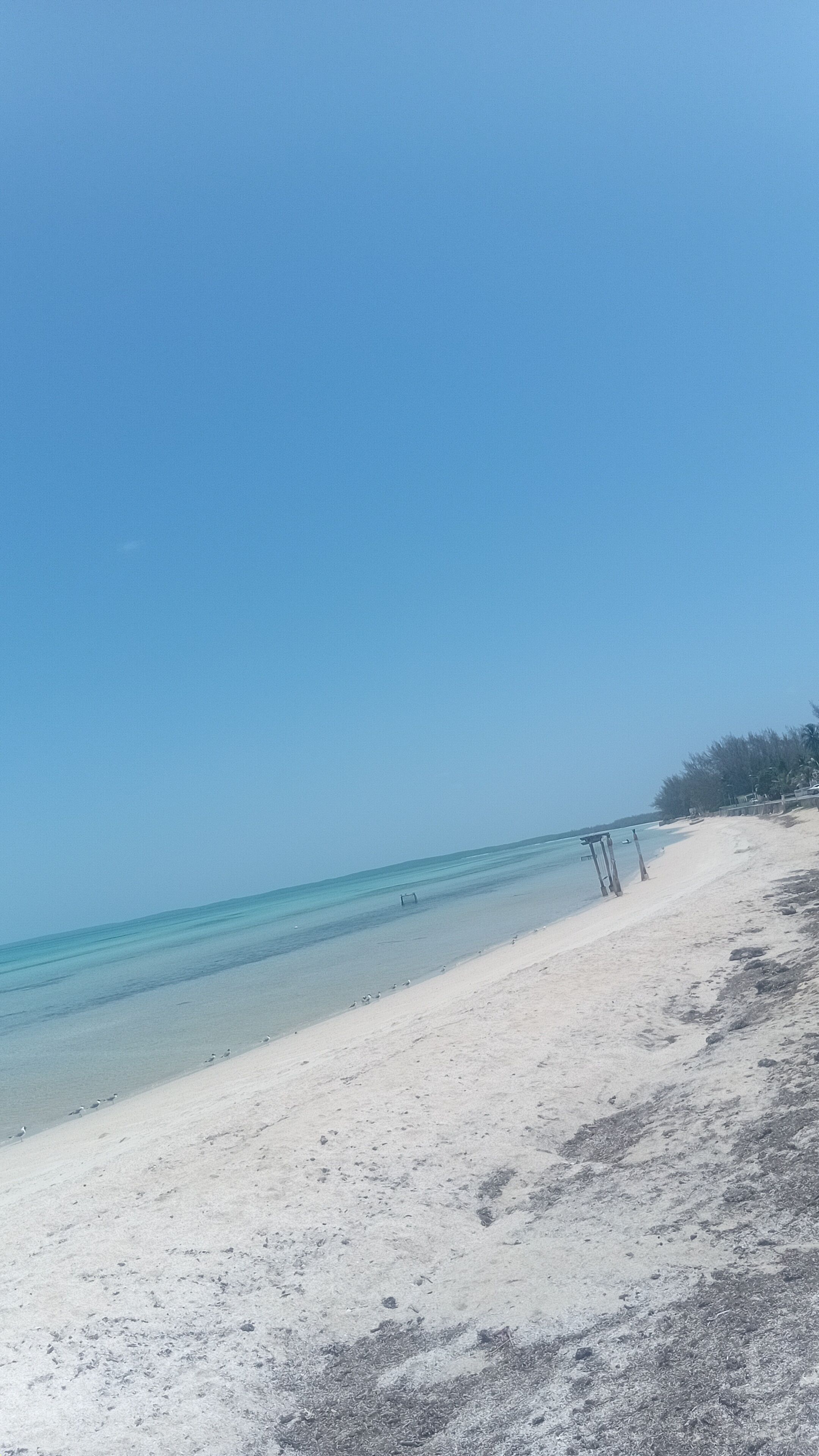 Vlak bij het strand