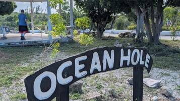 Een houten bord met de tekst 'OCEAN HOLE' in witte letters op een zwarte achtergrond.