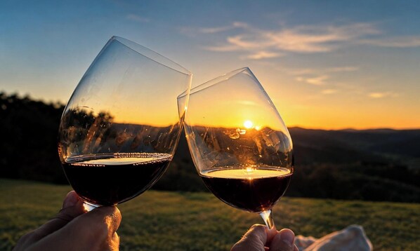 Two glasses of red wine held by hands against a sunset background.