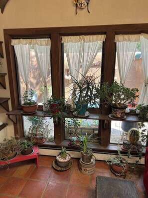 A room with a window sill lined with various potted plants, a red bench, and a rustic wooden floor.
