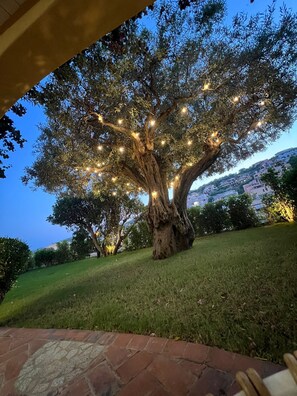 A tree with lights, a grassy area, and a brick pathway. - Relax in Villasimius (Villasimius)