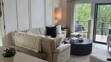 Smart TV, fireplace, books