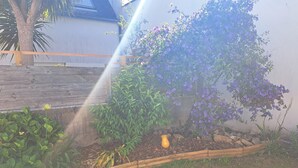 Un jardín con diversas plantas y una valla de madera.