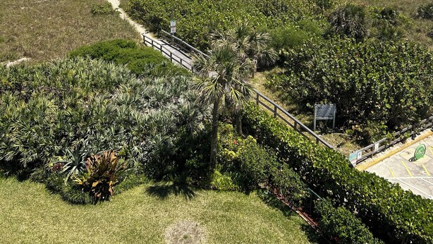 A beach with a pathway leading to the water, surrounded by greenery. -  2-bedroom condo in charming Cape Canaveral with amazing ocean views (Cape Canaveral)