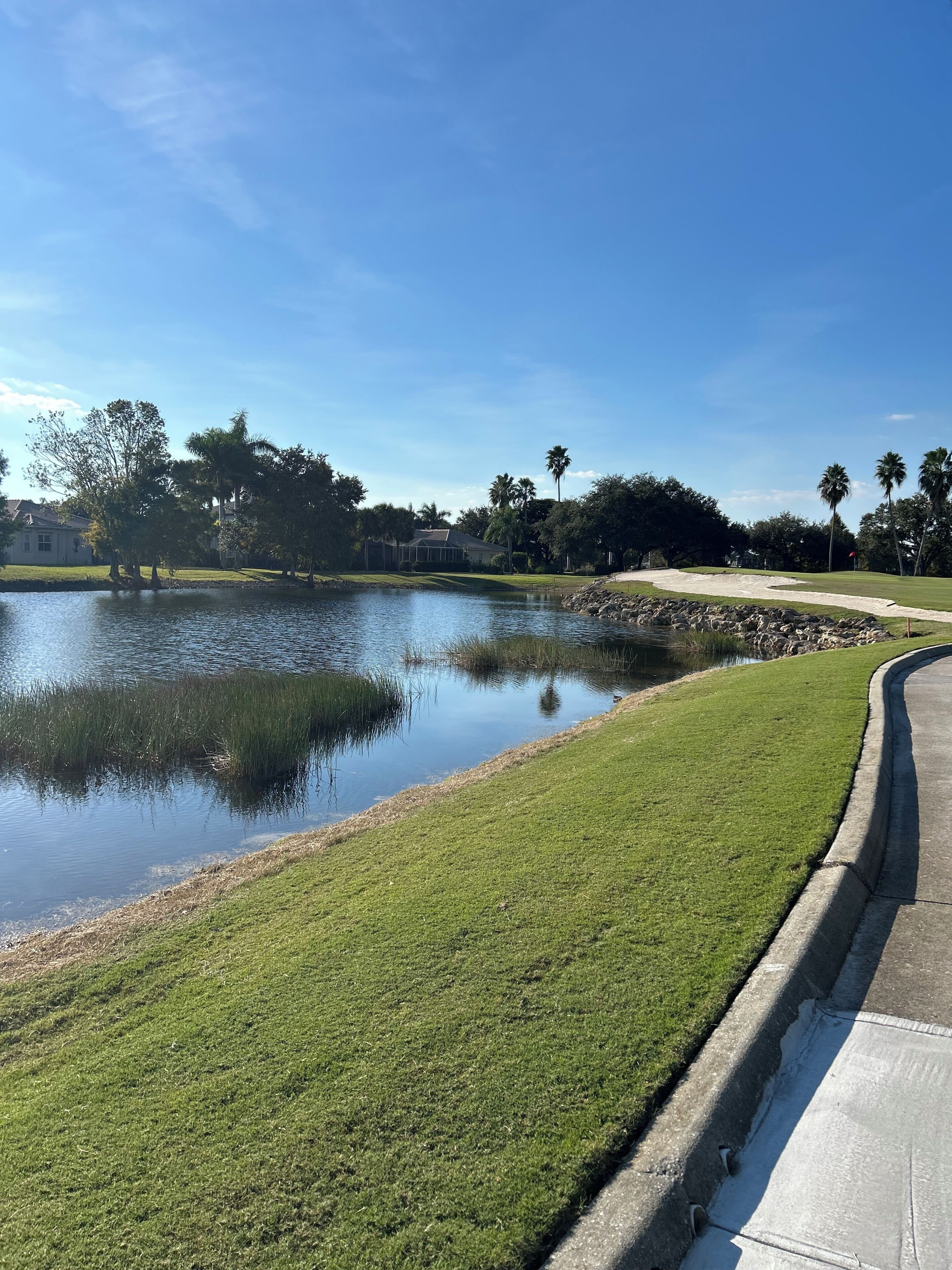 Ein Golfplatz mit Teich, grünem Rasen und Palmen.