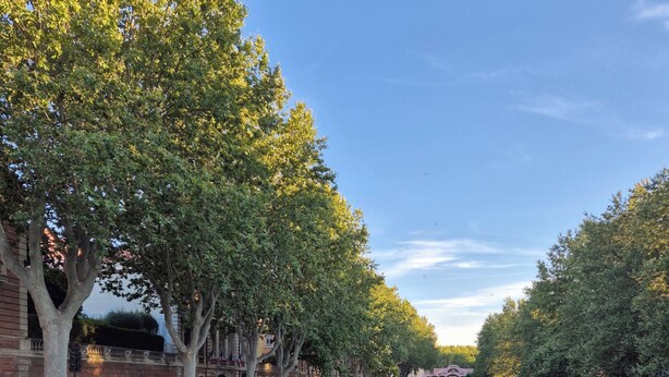 A canal lined with trees and a brick building, with a pathway leading towards a bridge. - Home 10 minutes from the beaches, between sea and mountains—downtown + garages (Perpignan)
