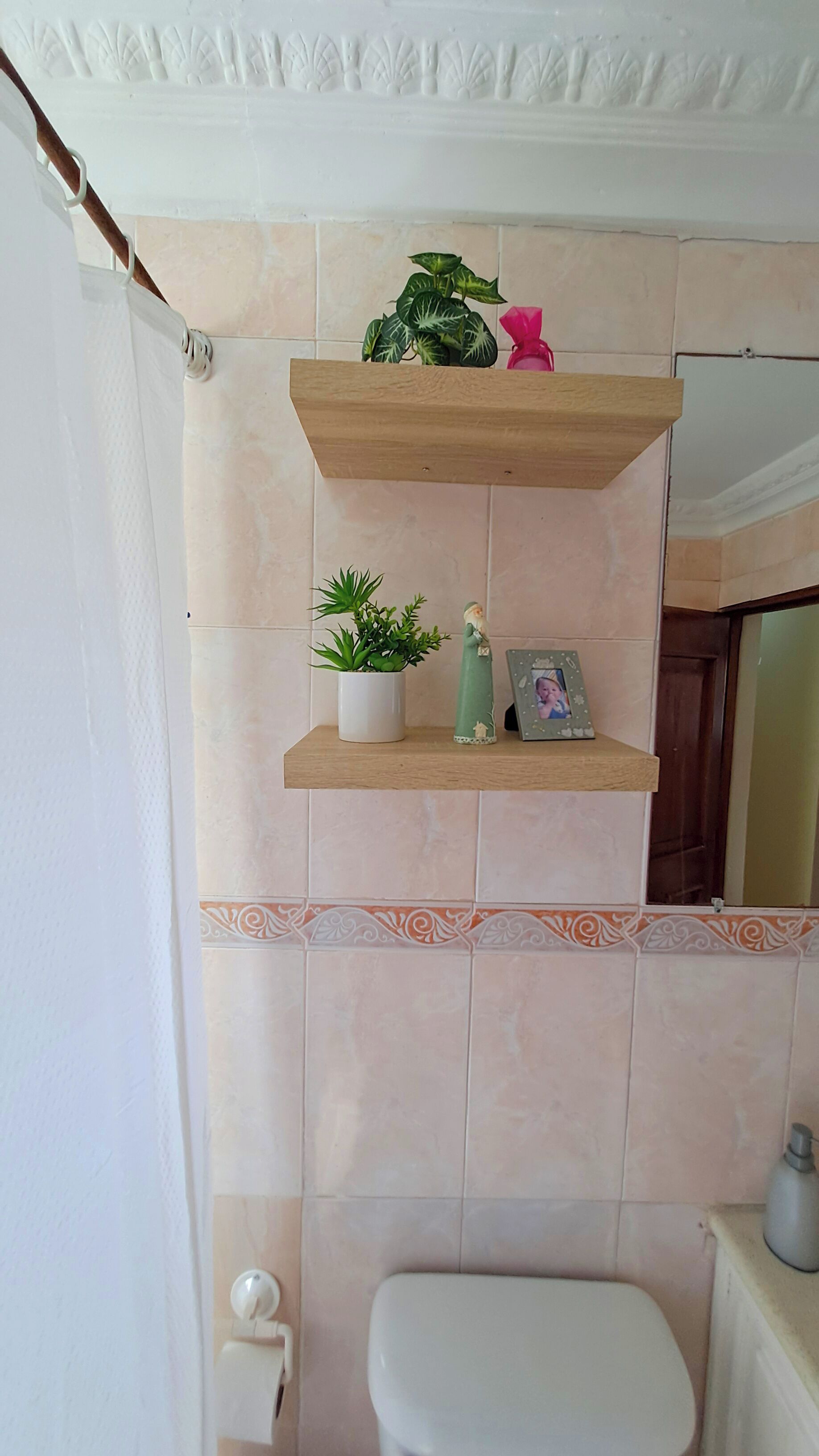A bathroom with a toilet, a sink, a shower curtain, and two shelves with plants and a photo frame.