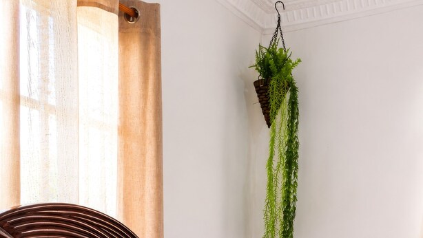 A neatly made bed with white linens and a mustard-colored pillow, a wooden headboard, and a hanging plant. - Fully furnished apartment in Los Patos, 5 minutes from the Rio de los Patos (Los Patos)