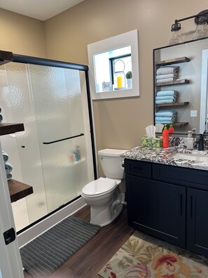 A bathroom with a glass shower enclosure, a toilet, a sink with a marble countertop, and a mirror with shelves above.