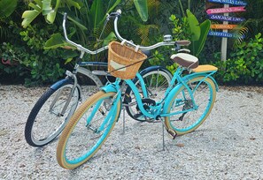 Ein turquoisefarbenes Fahrrad mit Korbrad und braunem Sattel, abgestellt auf Kies vor tropischer Landschaft.