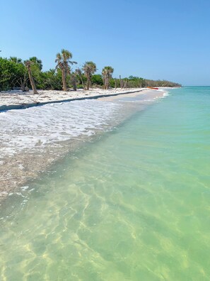 Playa en los alrededores 