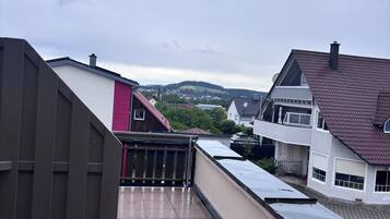 Terras