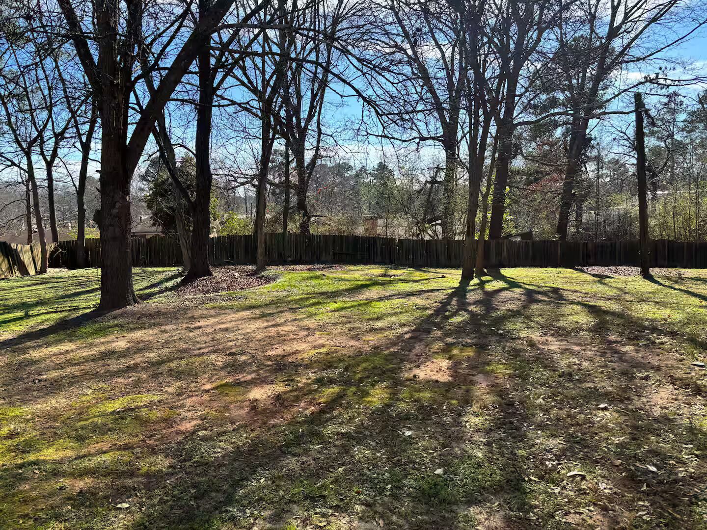 A wooded area with trees and a wooden fence.