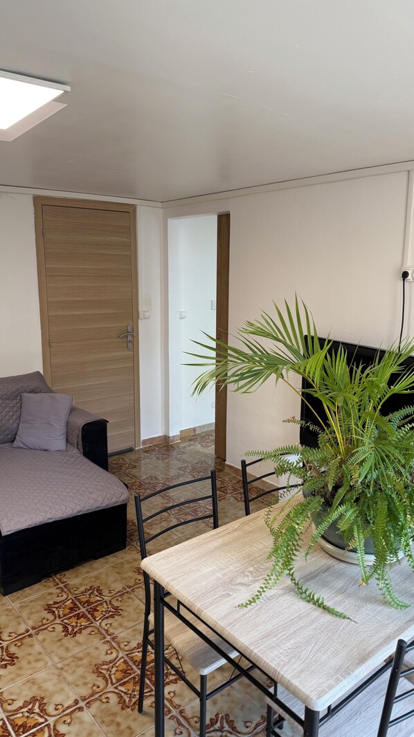 A room with a bed, a dining table with chairs, a potted plant, and a door.