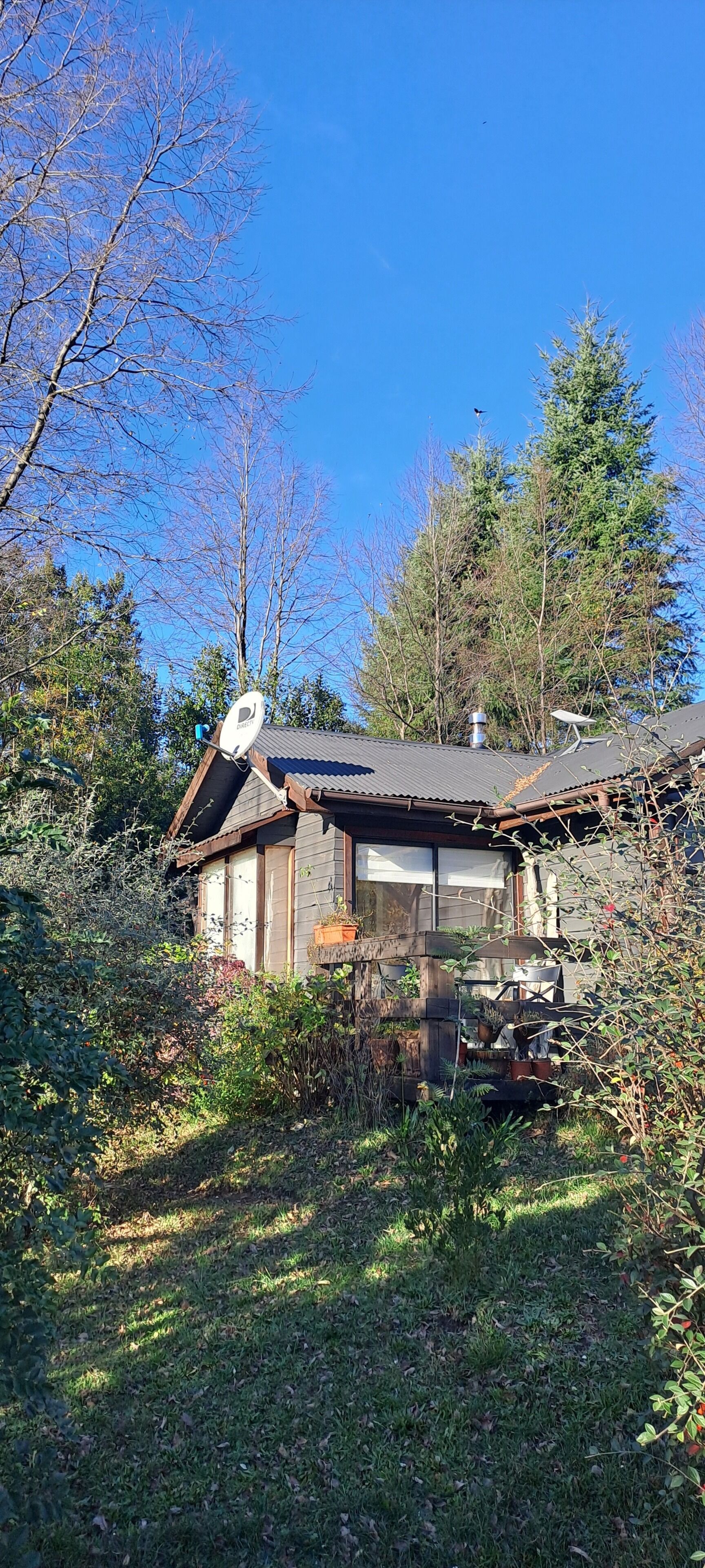A rustic cabin with a sloped roof, surrounded by dense foliage and trees.