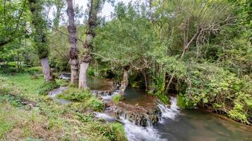 Un paisaje natural con un arroyo serpenteante, abundante vegetación y árboles.