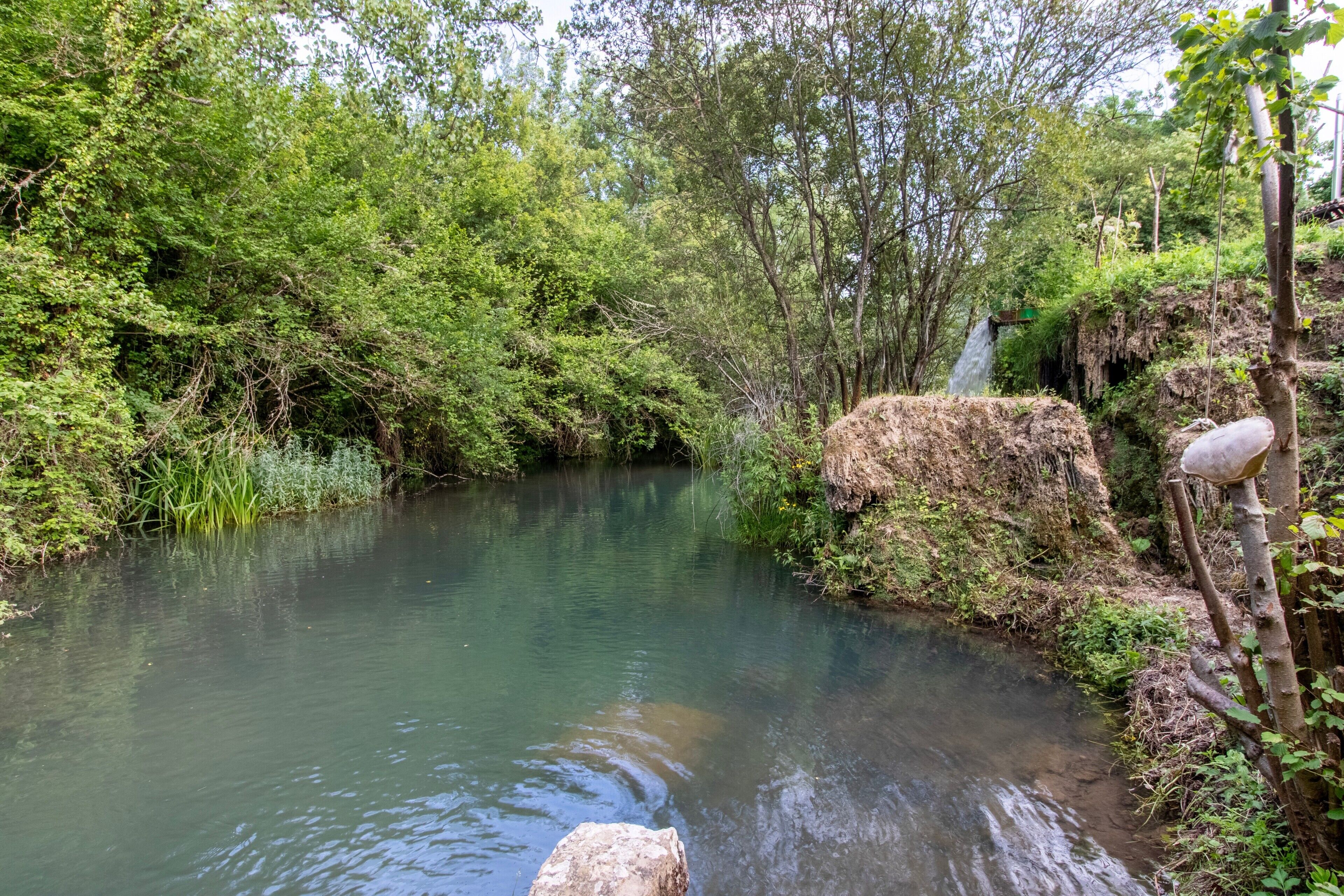 A natural water body surrounded by dense greenery and trees.