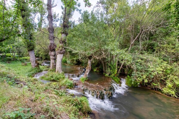 Un paisaje natural con un arroyo serpenteante, abundante vegetación y árboles.