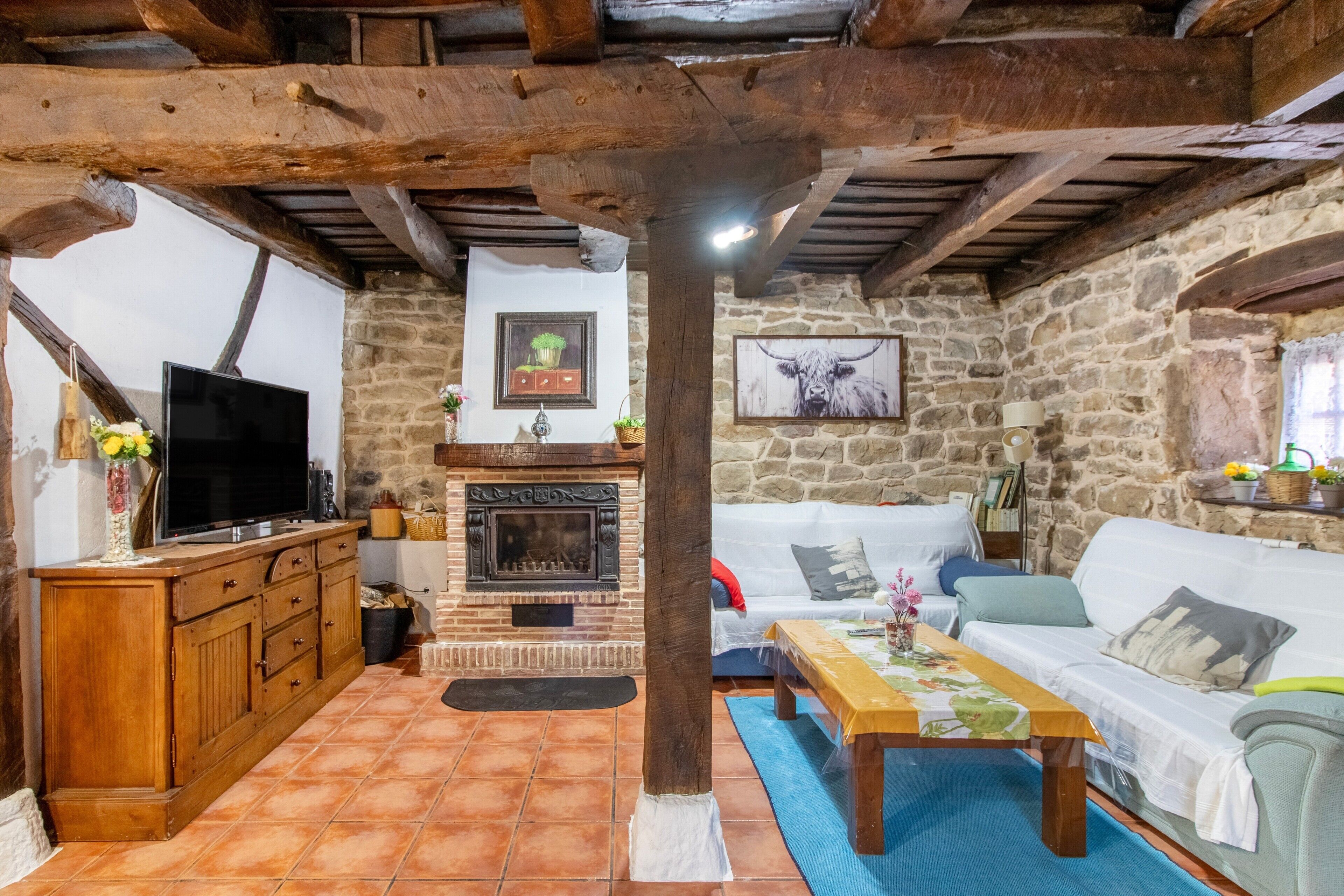 TV, fireplace