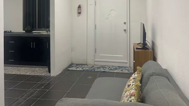 Ett vardagsrum med en grå soffa, en liten matta, en tv på ett träbord och en vit dörr med en brandsläckare.