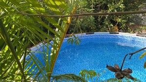 Una piscina d'un blau clar envoltada de vegetació exuberanta.
