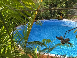 Ein klares, blaues Schwimmbecken, umgeben von üppiger Vegetation.