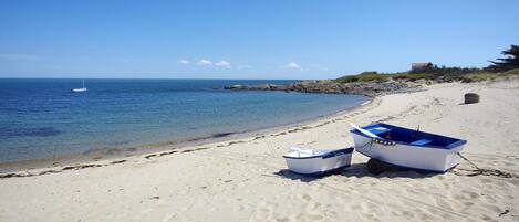 Playa