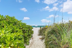 A beach path with dense foliage on both sides, leading to a sandy beach with a clear sky.