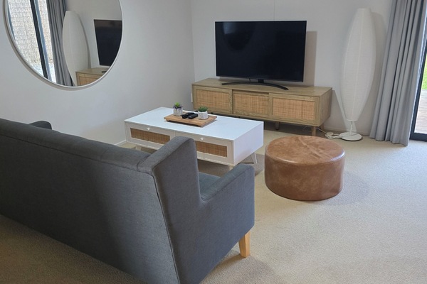Smart TV, reproductor de DVD y libros
