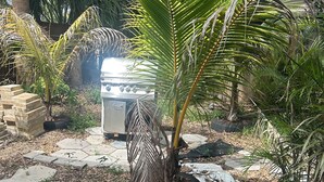 Ein Garten mit Palmen, einem Grill und einem Blumentopf.
